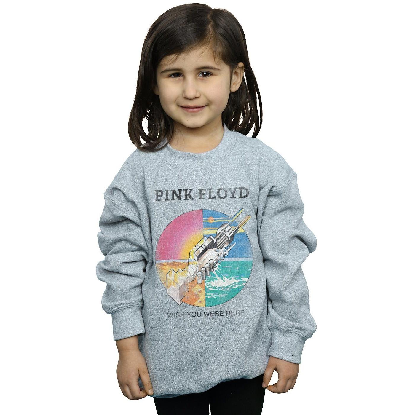Pink Floyd  Wish You Were Here Sweatshirt 
