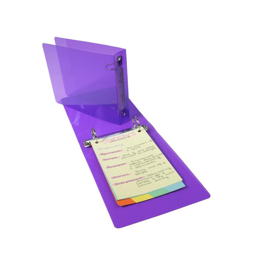 Exacompta Ringbuch aus PP 700µ, 2 Ringe 25mm, Rücken 35mm, 14x18cm - x 10  