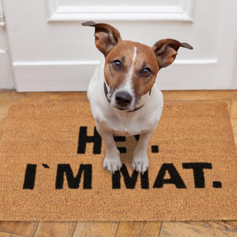 B2X Fußmatte aus Kokosfaser „Hey. I’m Food“  