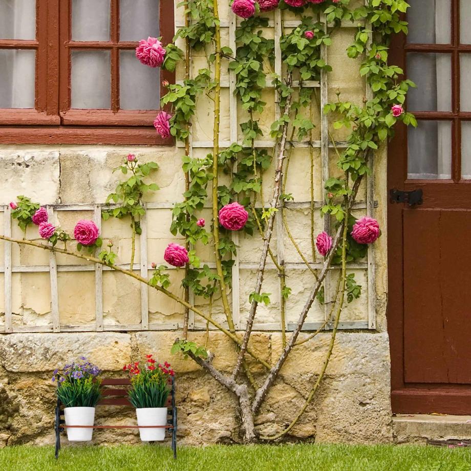 Northix Mini-Blumenbank  