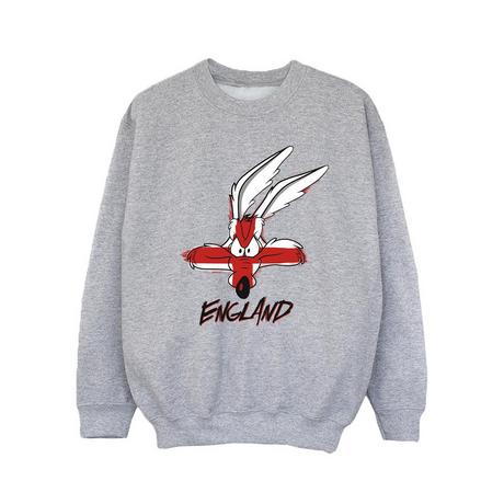 LOONEY TUNES  Sweatshirt 