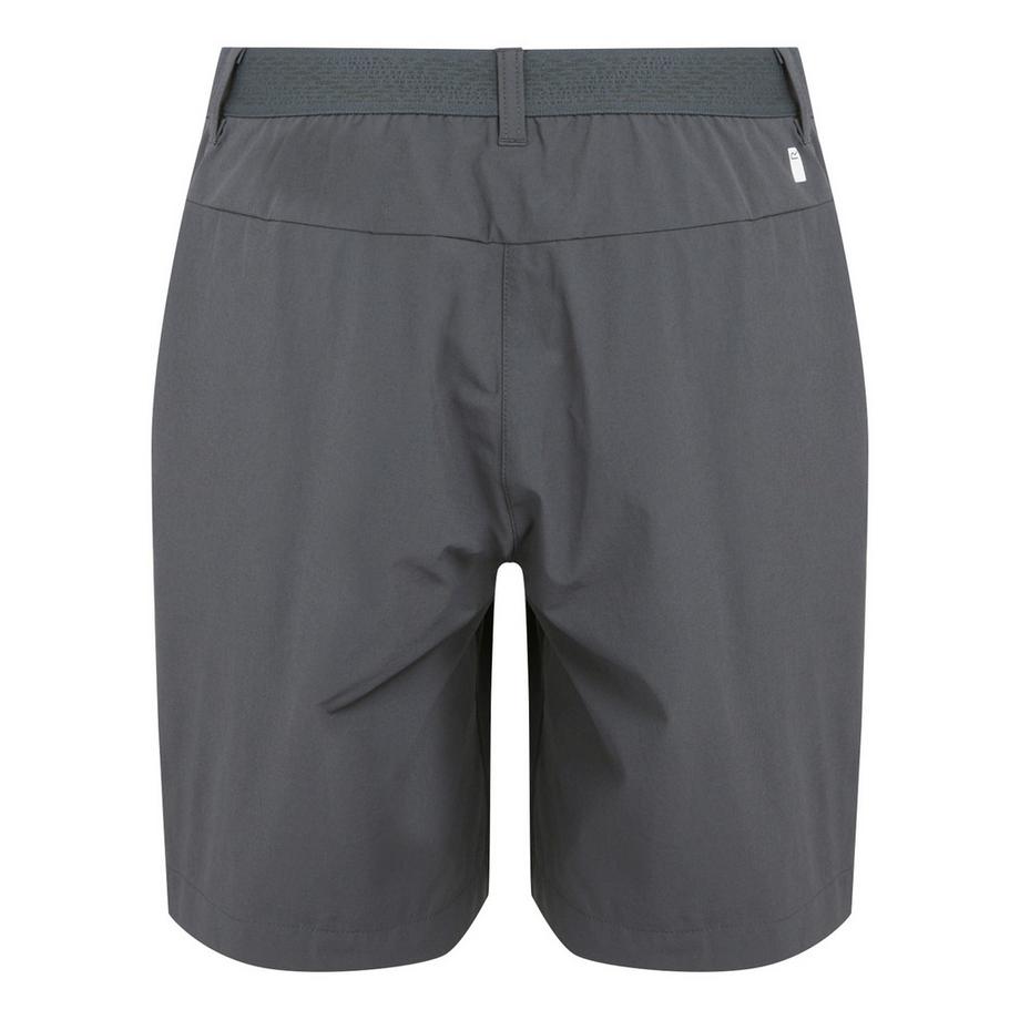 Regatta  Mountain II Shorts 