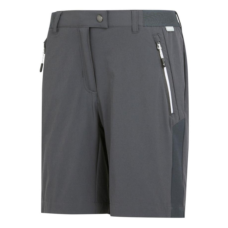 Regatta  Mountain II Shorts 