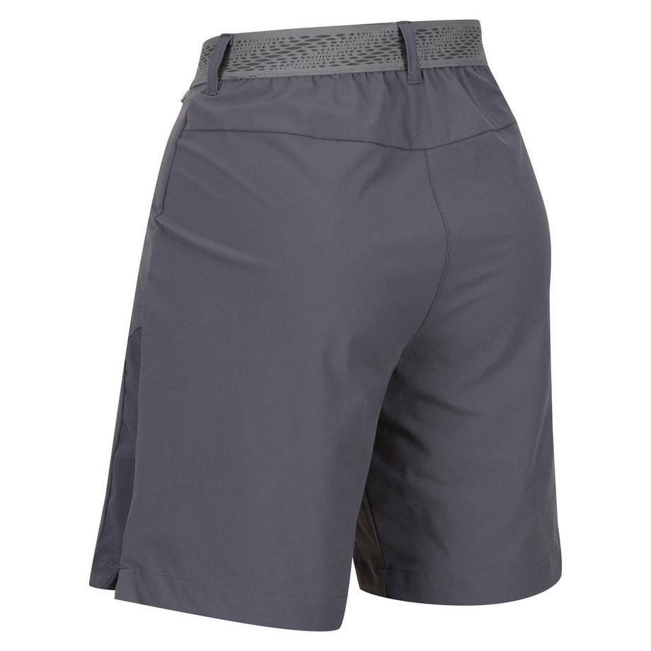 Regatta  Mountain II Shorts 