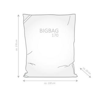 Sitting Point Sitzsack Bigbag Marla  