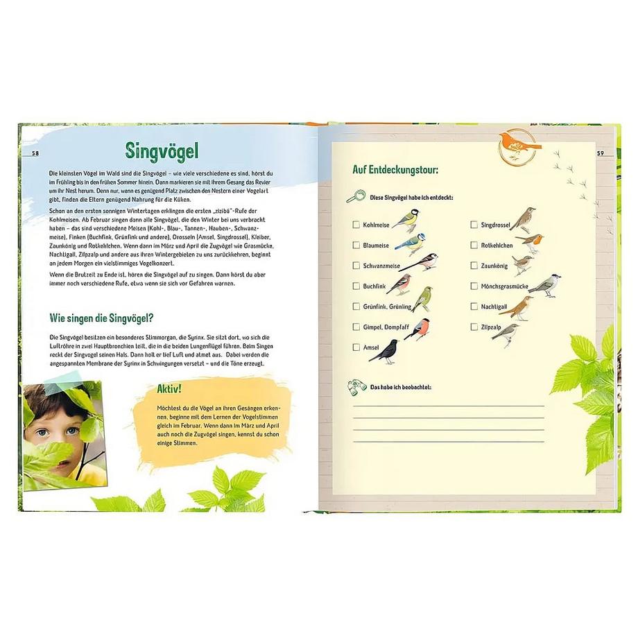 Der Wald - Unser einzigartiger Lebensraum Oftring, Bärbel Copertina rigida 