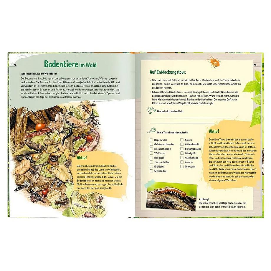 Der Wald - Unser einzigartiger Lebensraum Oftring, Bärbel Copertina rigida 