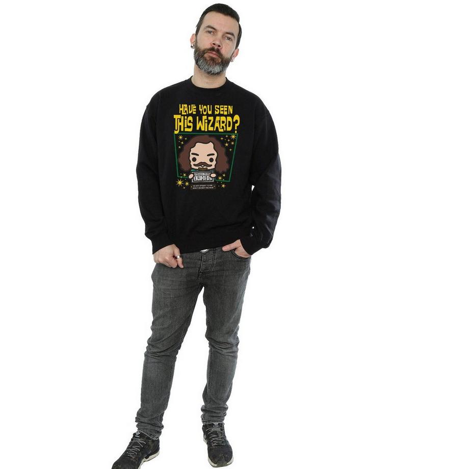 Harry Potter Sirius Black Azkaban Junior Sweatshirt  