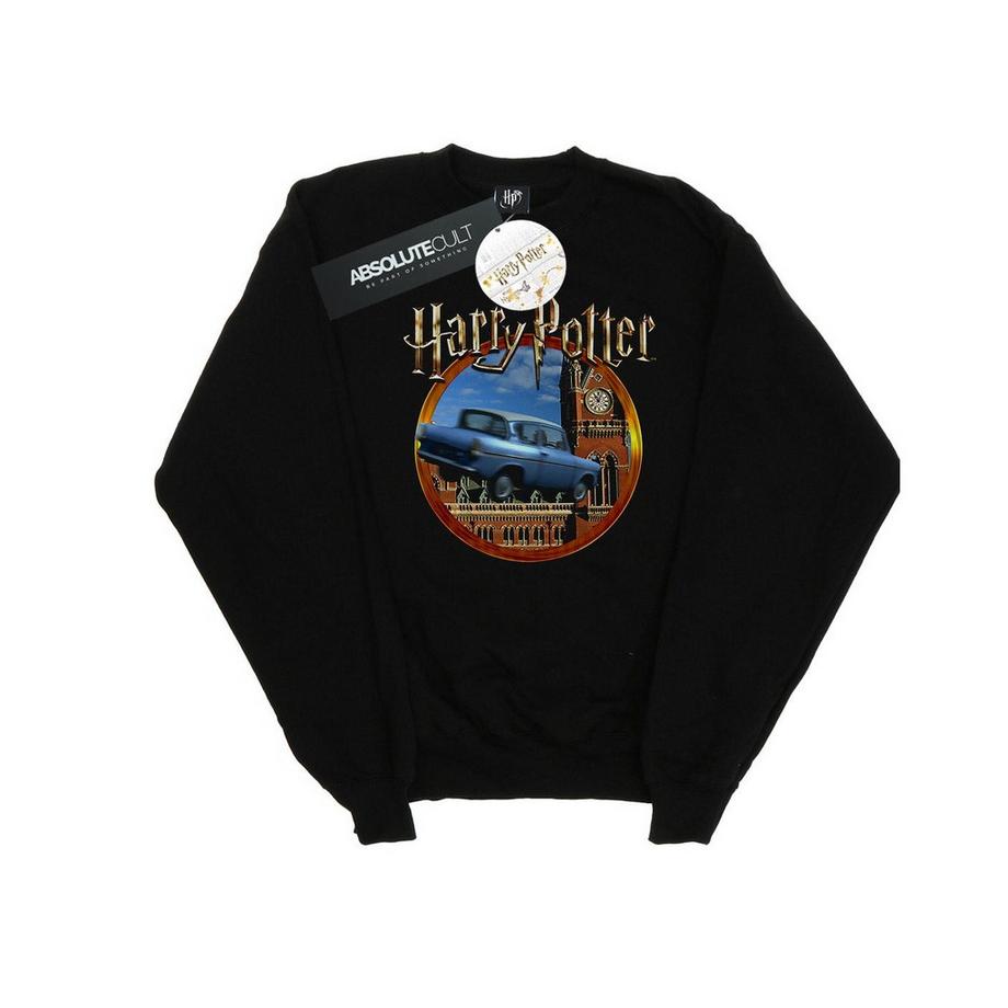 Harry Potter Fliegendes Auto Sweatshirt  