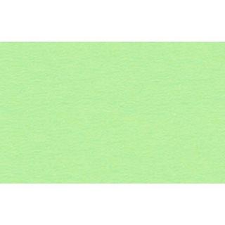 Ursus URSUS Fotokarton A4 3764630 300g, mint 100 Blatt  