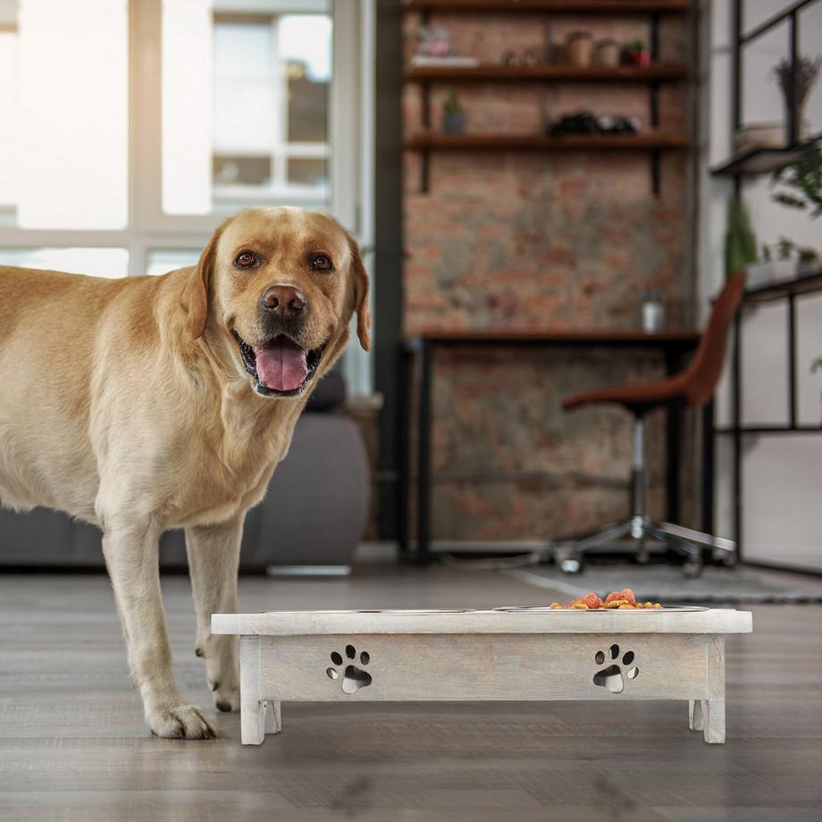 Northix  Mangeoire surélevée pour chien, protection du cou 