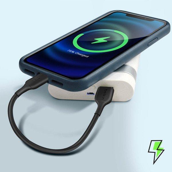 belkin  Câble USB / Lightning Belkin Noir 15cm 