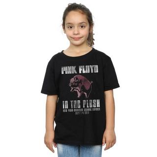 Pink Floyd  In The Flesh TShirt 