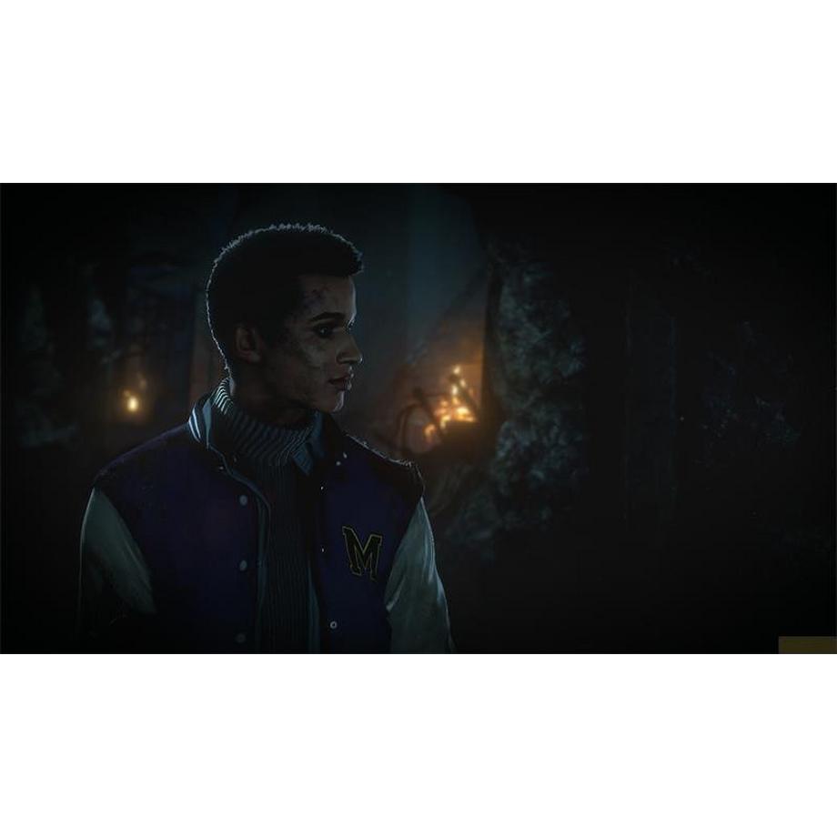 SONY  Until Dawn - Playstation Hits 