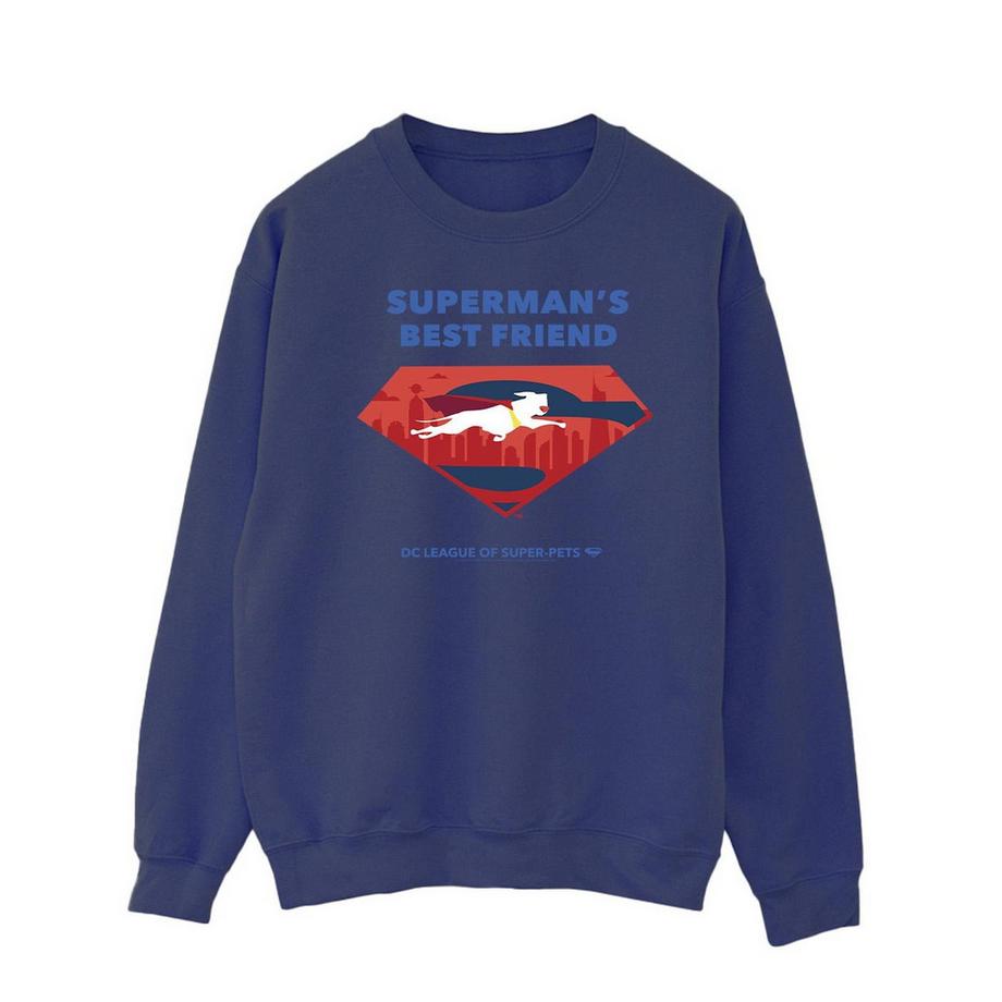 DCs DC League Of SuperPets Best Friend Sweatshirt