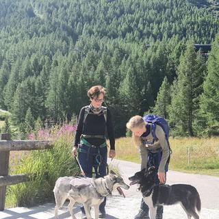 Geschenkidee  Huskytrekking um den Stausee Mattmark inkl. Gipfeli und Kaffee für (1 Jugendliche) 