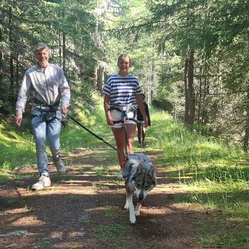 Trekking en husky autour du lac de Mattmark, croissants et café inclus (pour 1 adolescent)