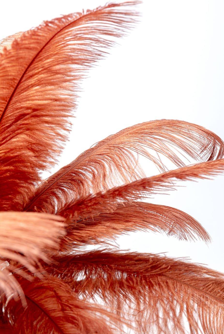 KARE Design Tischleuchte Feather Palm Rusty Red 60  