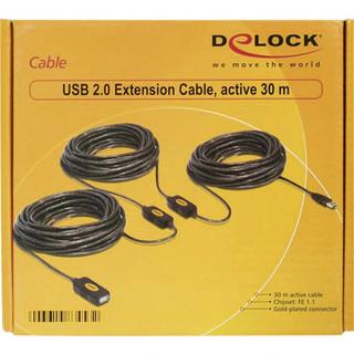 DeLock  30m, USB2.0 - USB2.0 cavo USB USB A Nero 