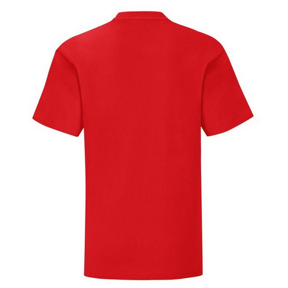 Fruit of the Loom  Iconic 150 TShirt 