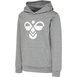 Hummel  kinder-hoodie hmlcuatro 