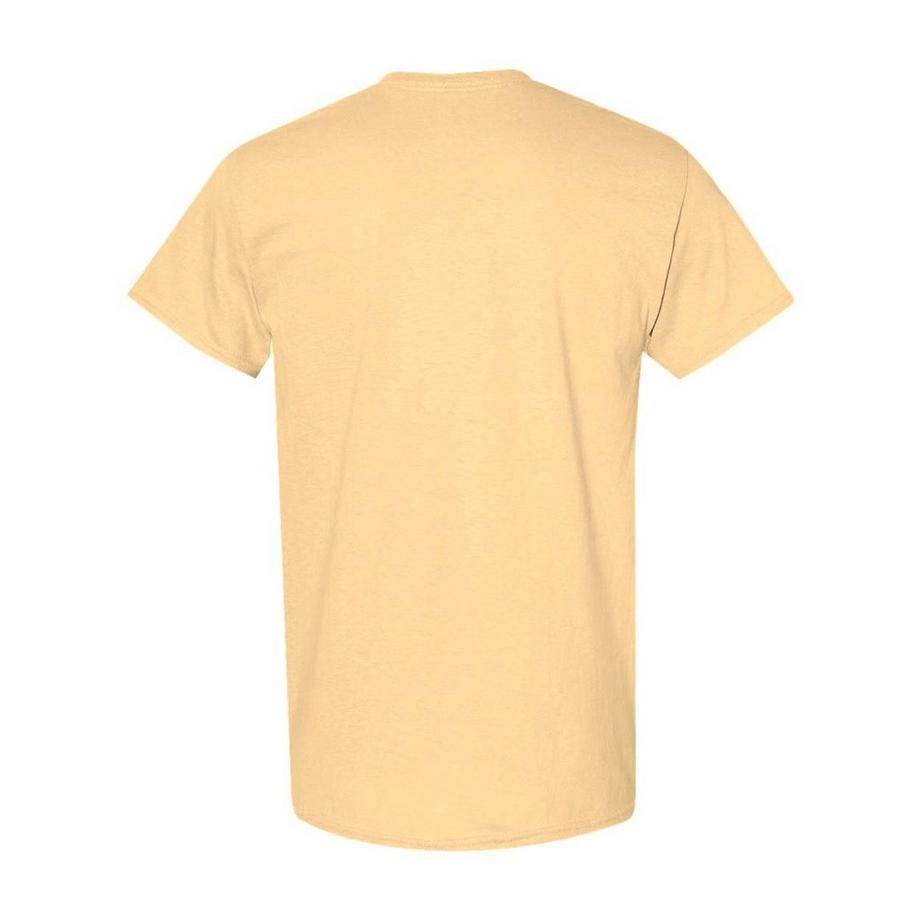 Gildan T-Shirt Lot de 5  