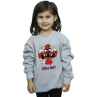 LOONEY TUNES  Taz England Face Sweatshirt 