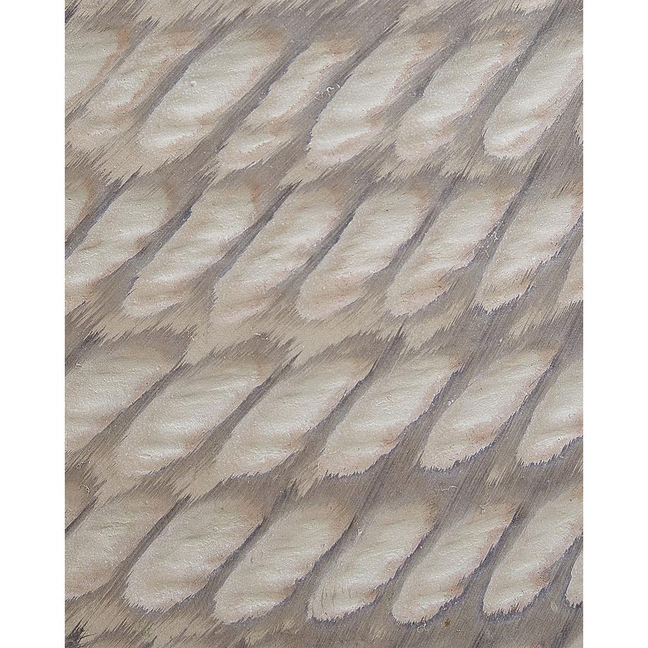 Beliani Vaso per piante en Fibra d'argilla Rustico LIVADIA  