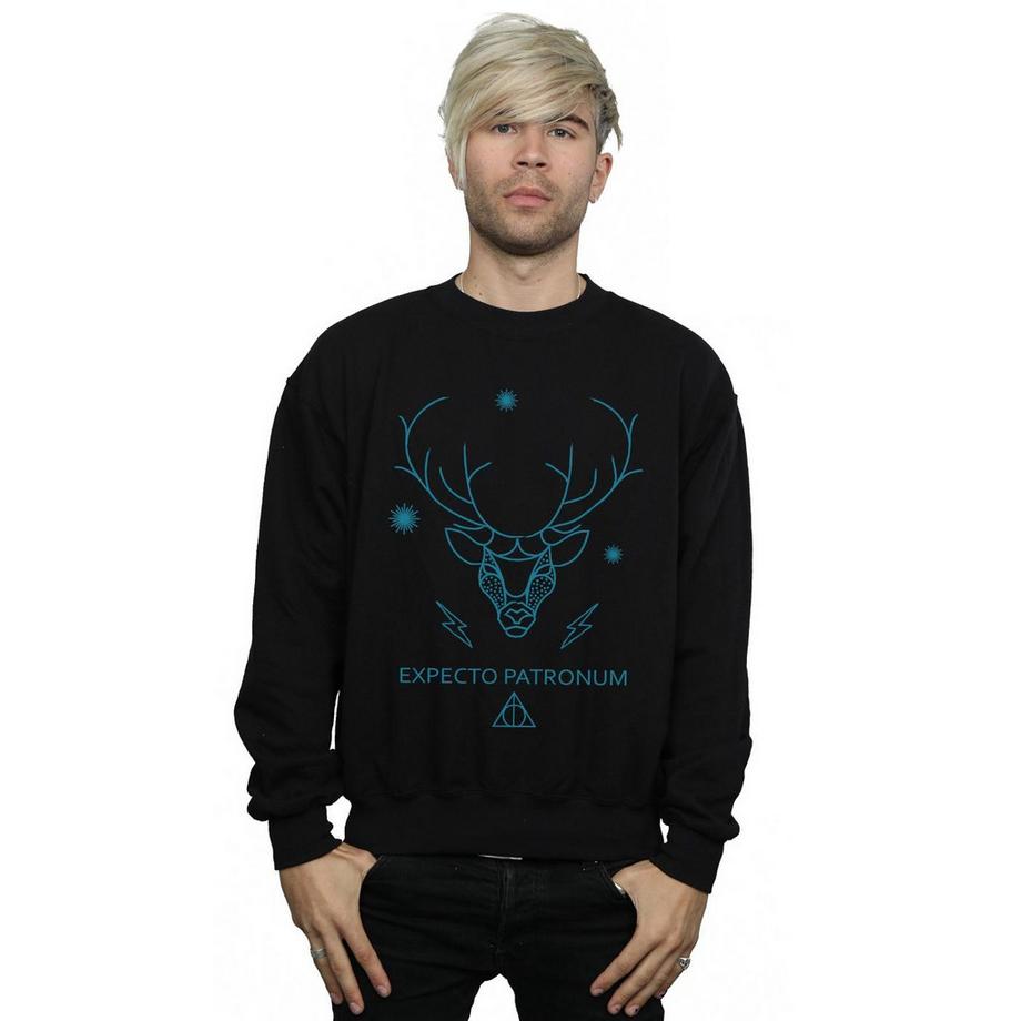 Harry Potter Expecto Patronum Sweatshirt  