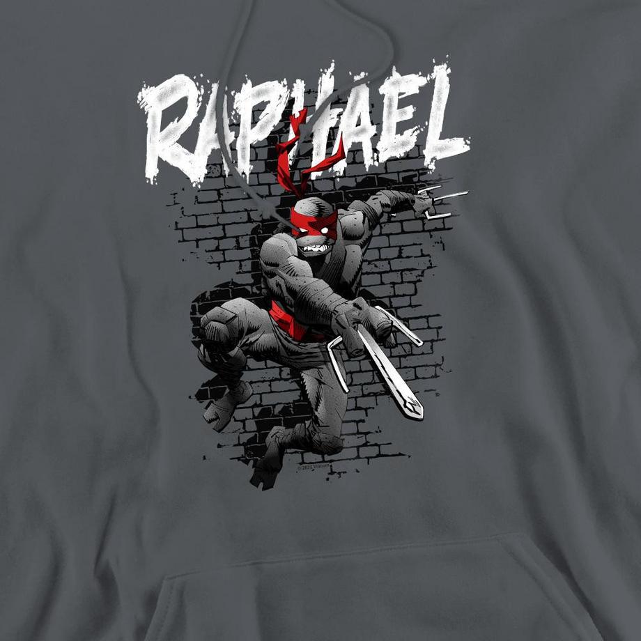 TEENAGE MUTANT NINJA TURTLE Sweat à Capuche Graphique Raphael  