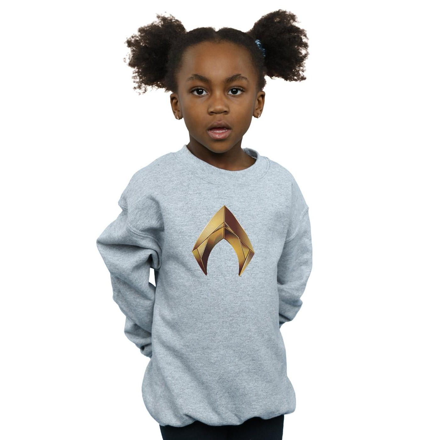 DC COMICS  Sweatshirt 