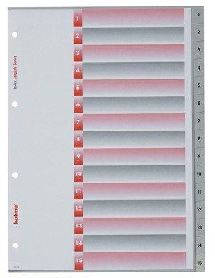 Kolma  KOLMA Register Longlife A4 19.115.03 grau, 1-15 