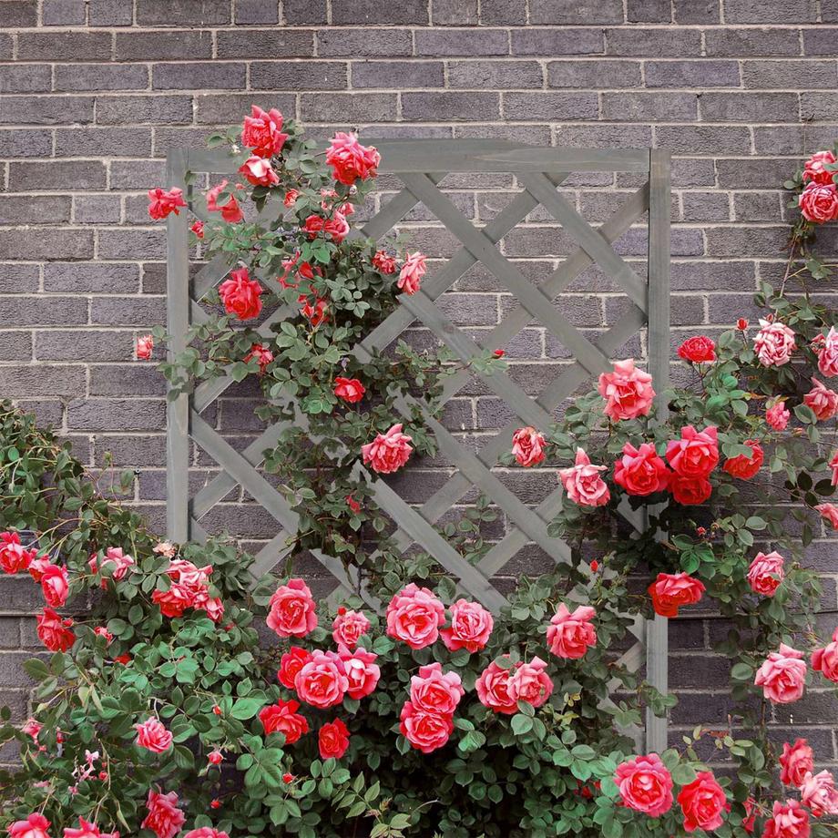 Northix Jardinière grise avec treillis  