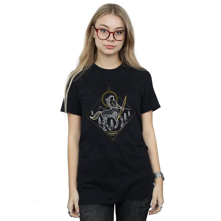 Harry Potter Centauro T-Shirt Stampa Grafica  