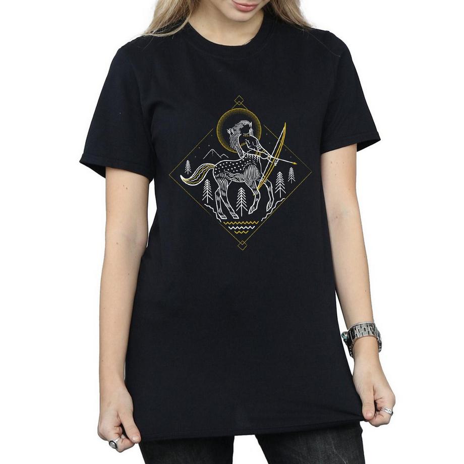 Harry Potter Centauro T-Shirt Stampa Grafica  