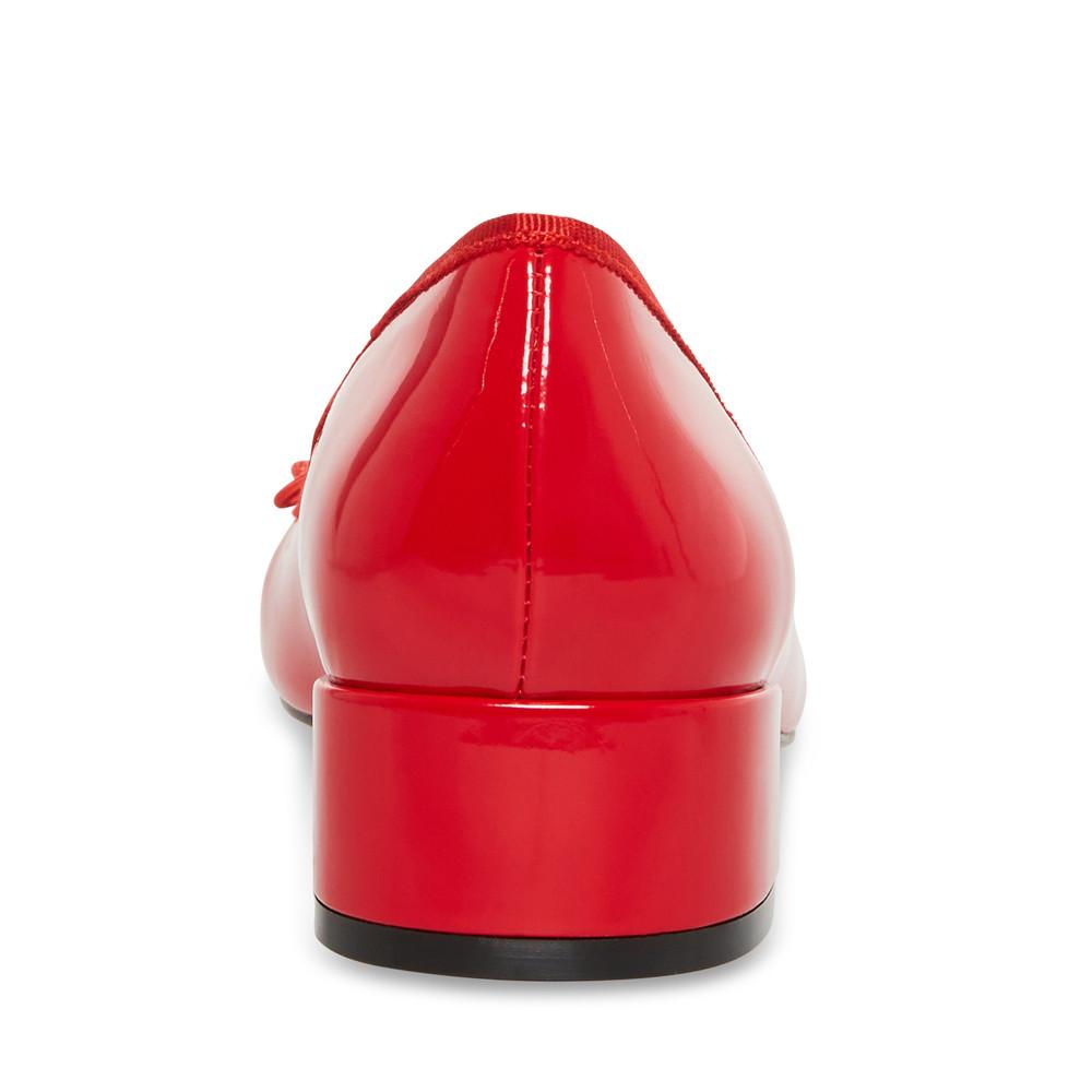 STEVE MADDEN  ballerines cherish 