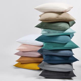 La Redoute Intérieurs Scenario Lenzuolo Piatto in Cotone Prelavato  