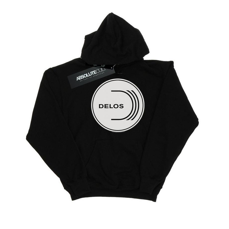 Delos Kapuzenpullover