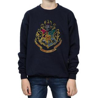 Harry Potter  Sweatshirt 