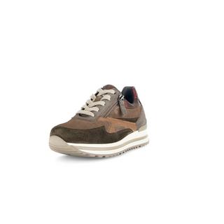 Gabor  Sneaker Scamosciato 