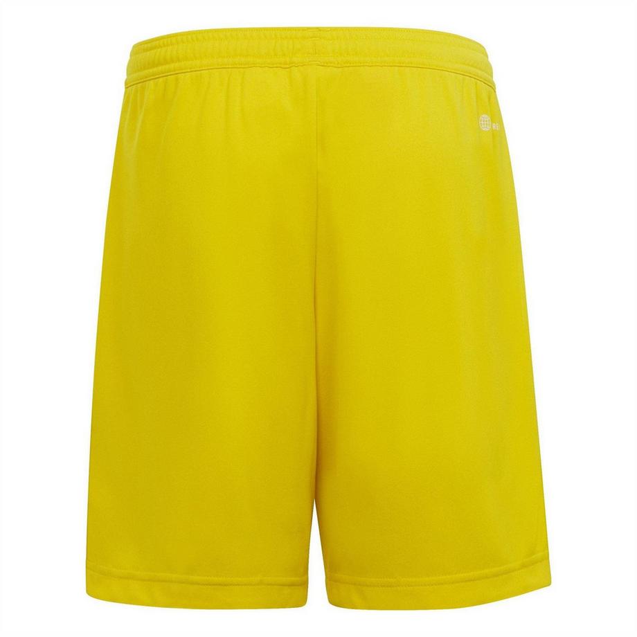 adidas  Short Entrada 