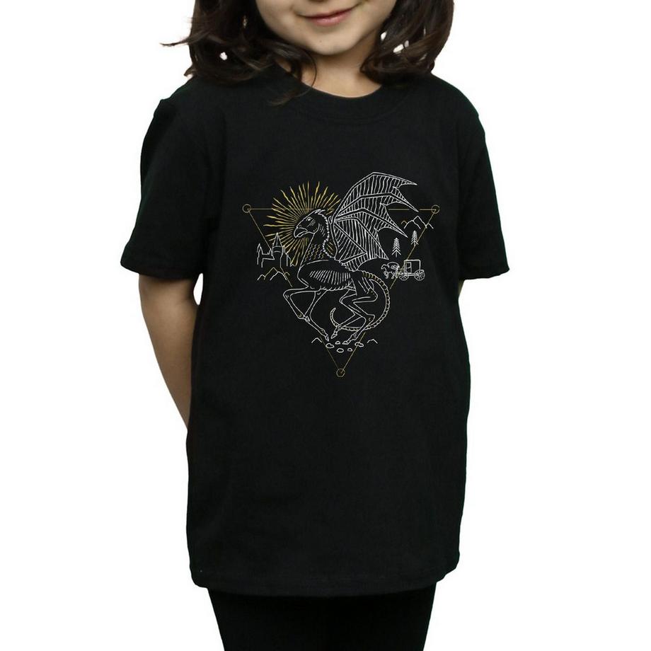 Harry Potter  TShirt 