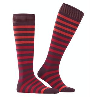 Burlington  socken blackpool mi-bas 