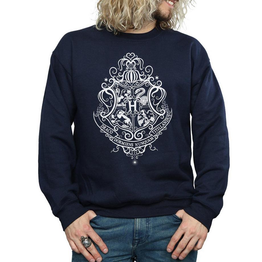 HARRY-POTTER Hogwarts Draco Dormiens Felpa  