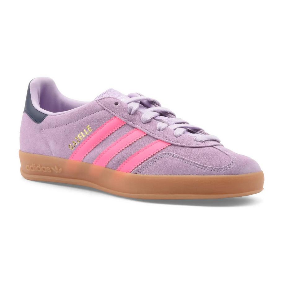 Gazelle indoor