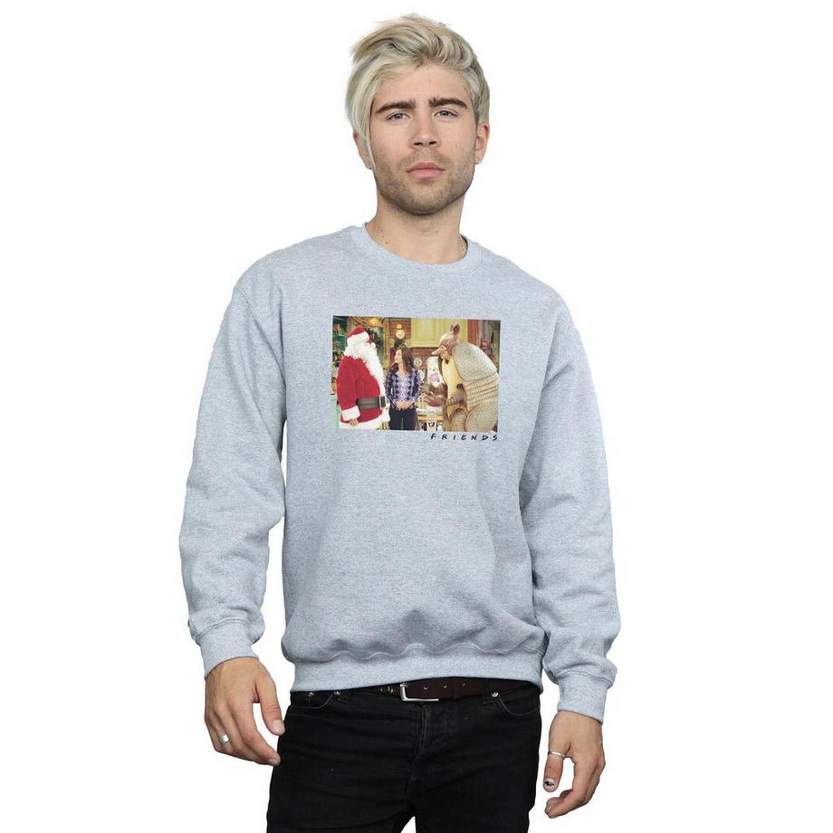 Friends The Holiday Armadillo Sweatshirt  