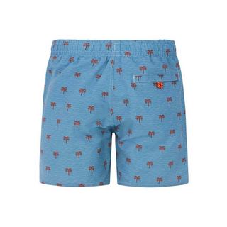 PROTEST  Bade Shorts PRTSteven JR 