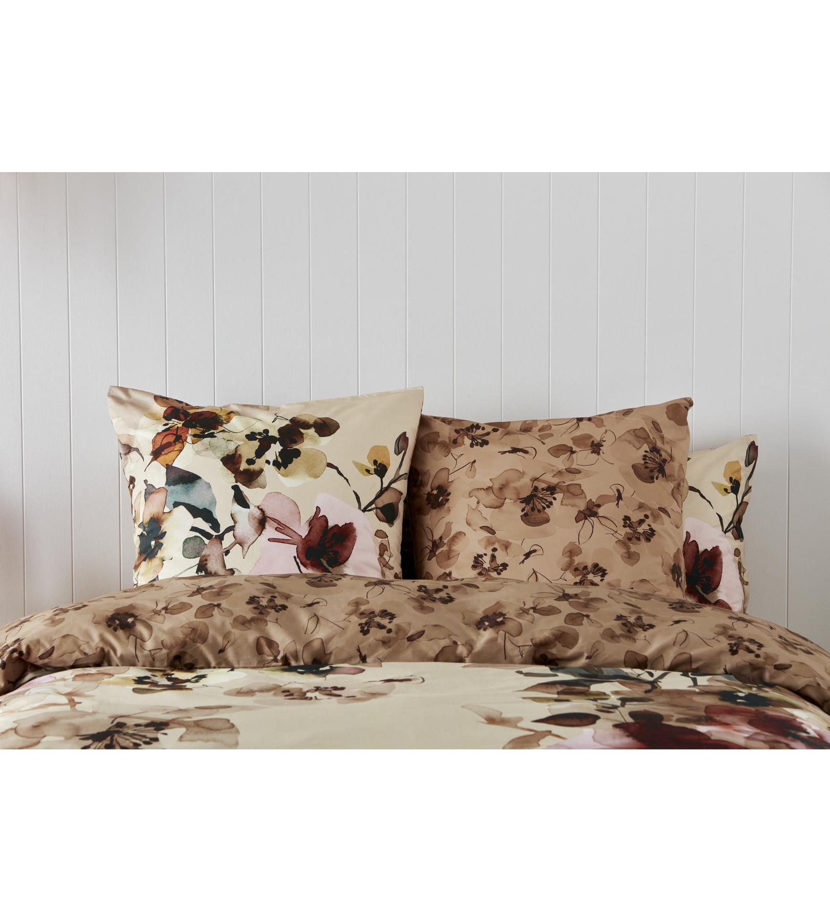 Kas Romneya Federa floreale  