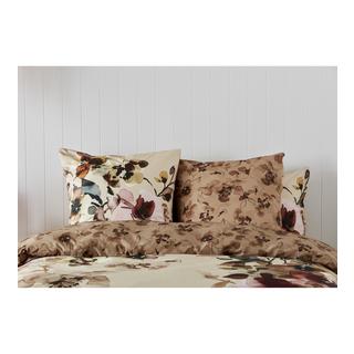 Kas Romneya Federa floreale  