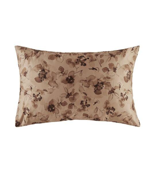 Kas Romneya Federa floreale  